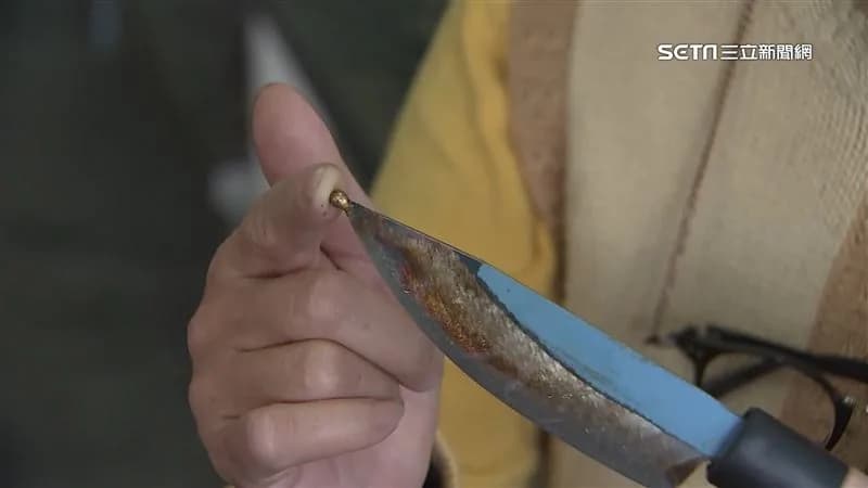 獨家／取烏金靠它！特製殺烏刀前端增「銅珠」護卵 揭密鑄劍大師研發
